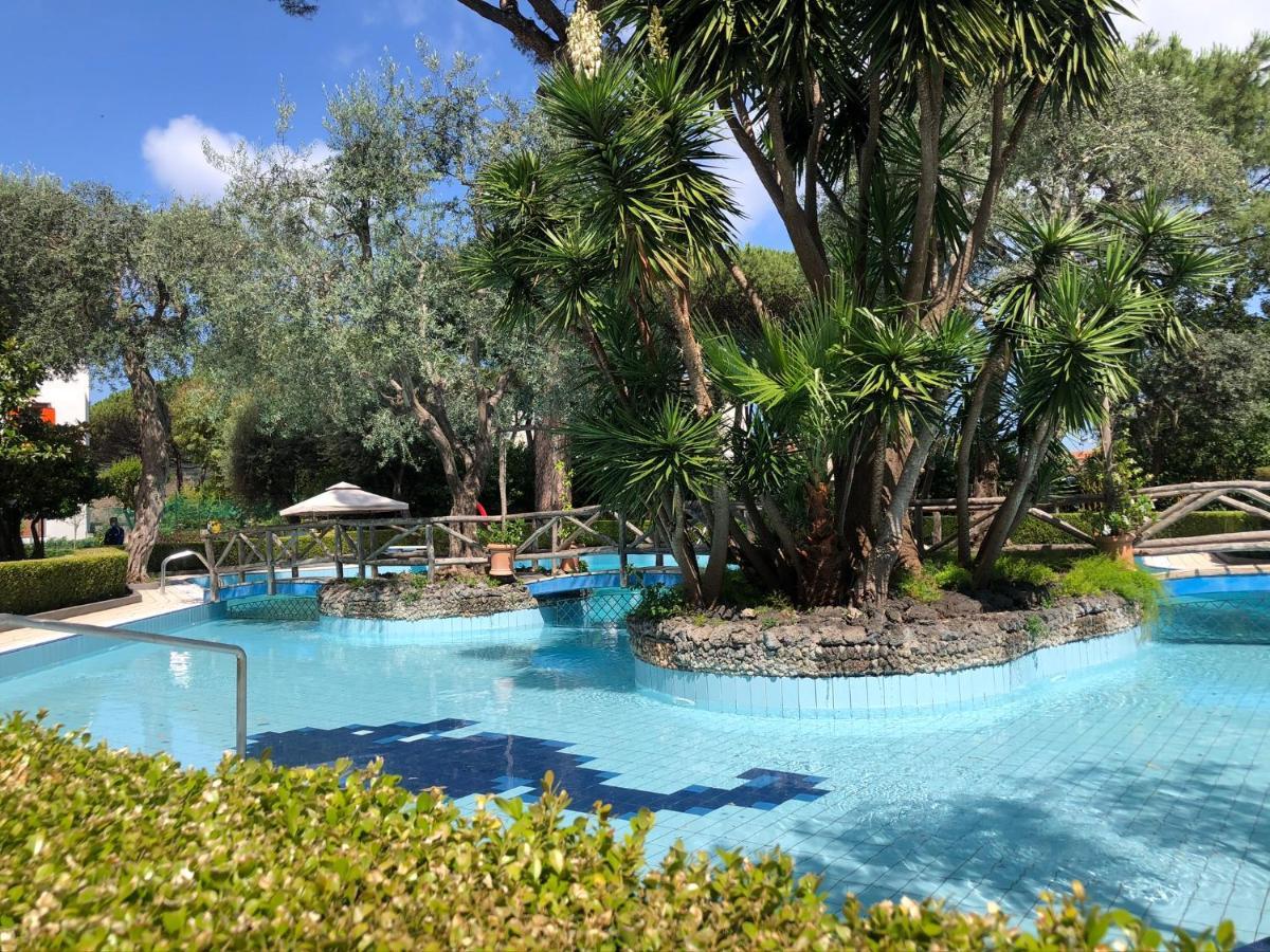 Casa Mami - Luxury Apartment And Pool - 索伦托 外观 照片